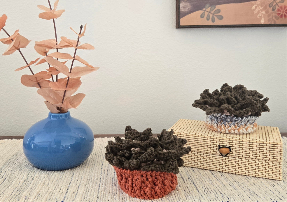 Crocheted Succulent Coasters