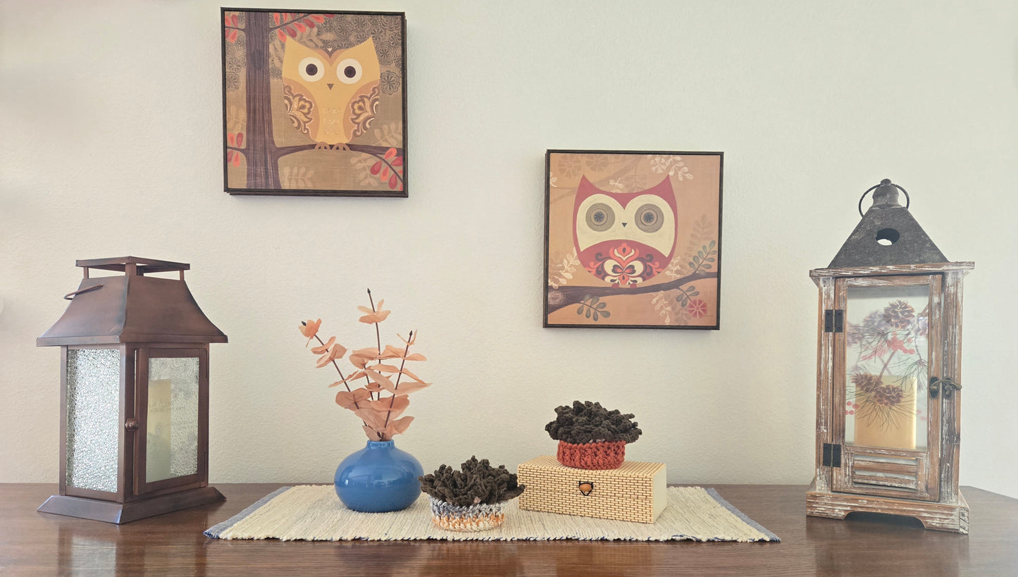 Crocheted Succulent Coasters