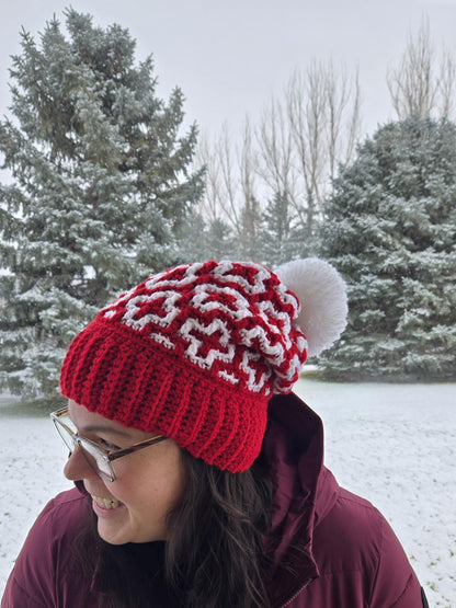Crochet Mosaic Crosses Stocking Cap
