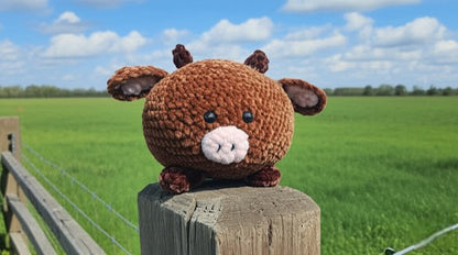 Cloverly the Cow