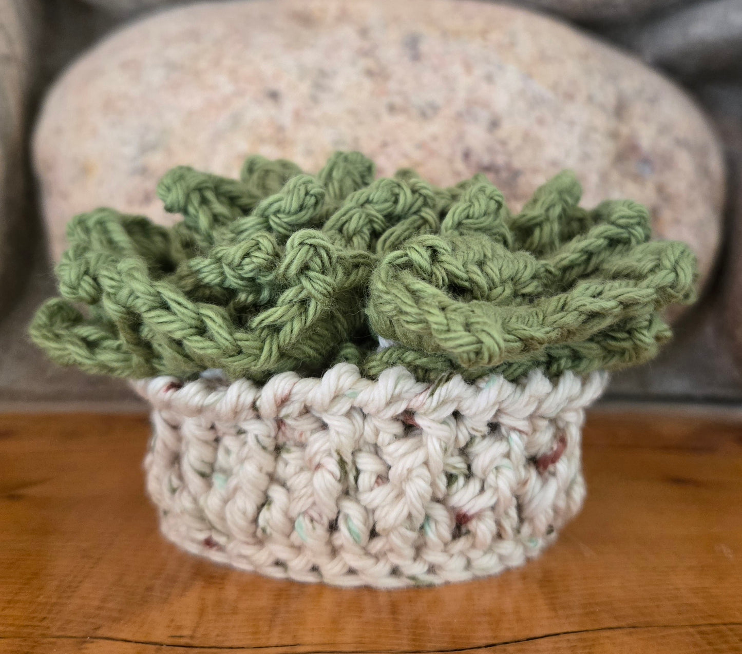 Crocheted Succulent Coasters