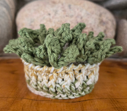 Crocheted Succulent Coasters