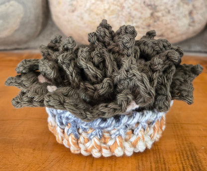 Crocheted Succulent Coasters